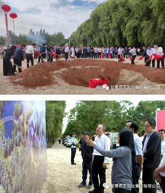 IM电竞(中国区)·官方网站