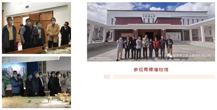 IM电竞(中国区)·官方网站