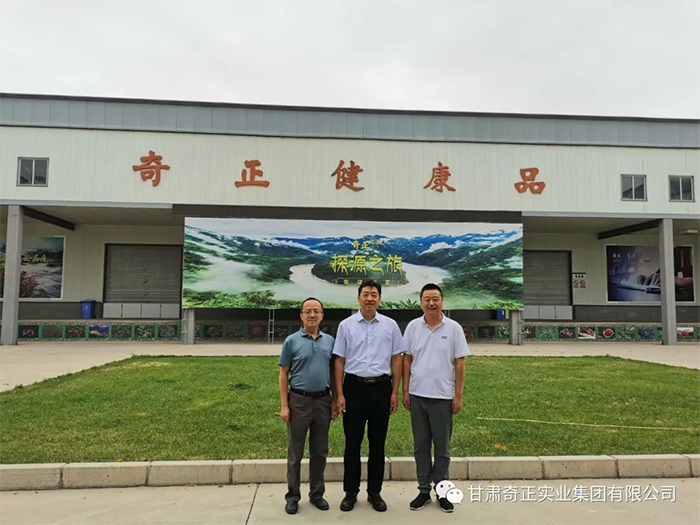IM电竞(中国区)·官方网站
