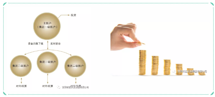 IM电竞(中国区)·官方网站