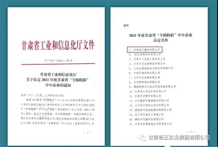 IM电竞(中国区)·官方网站