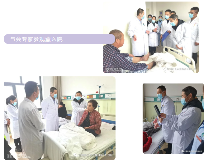 IM电竞(中国区)·官方网站
