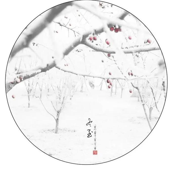 IM电竞(中国区)·官方网站