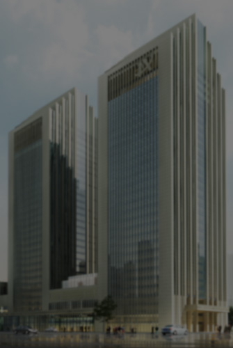 IM电竞风采