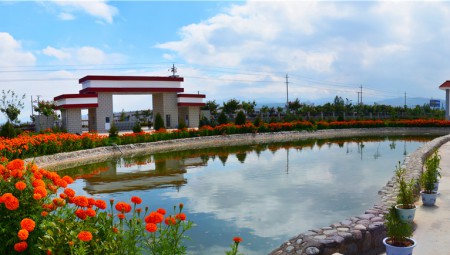 IM电竞中药厂区