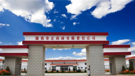 陇西IM电竞