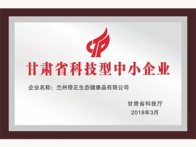 甘肃省科技型中幼企业（2018.3）