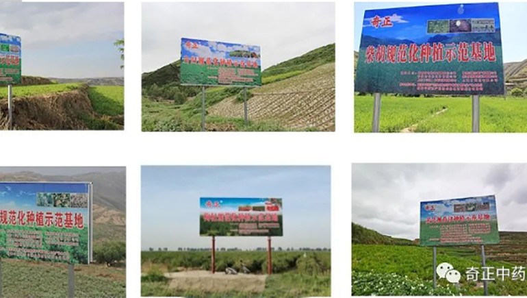 陇西IM电竞药材有限责任公司入选第一批国度中药材尺度化与质量评估创新联盟GAP沉点造就单元
