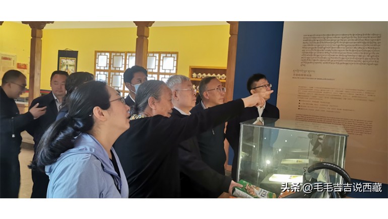原国务院扶贫办主任刘永富一行莅临IM电竞青稞调查调研