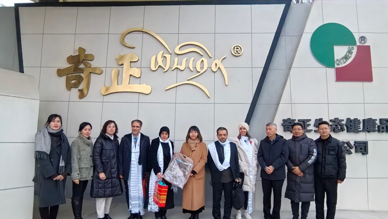 深掘藏医珍宝，共绘健全新篇——伊朗代表团莅临IM电竞集团参访互换